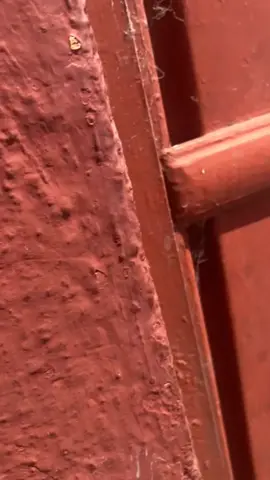 #mamayanoesta 