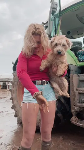 🐶 🫶🏻 #GenshinImpact32 #womaninag #fyp #tratters #farmtok #agritok #blonde #youngfarmer #girlswhofarm #fendt #828 #dog #dogsoftiktok 