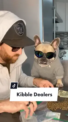We got the good stuff, who’s buying? #gangster #partnersincrime #dogdad #dogparents #teef #frenchiesoftiktok #dogsoftiktok #hustlers #dogparents @somefrenchienamedapollo @somefrenchienamedapollo 