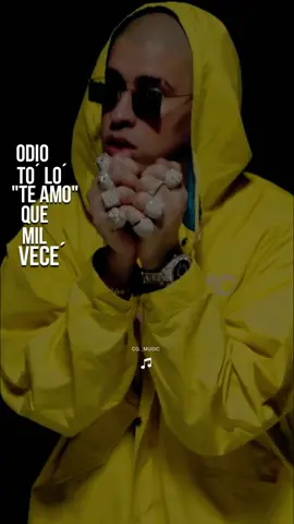 Te boté remix #badbunnypr #badbunny #music #parati #fyp