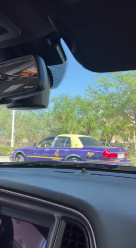 #onlyinflorida #thingsyouseeinflorida #southwestflorida #viraltiktok 