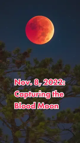 The November 8, 2022 Beaver #BloodMoon Total Lunar Eclipse marks the last total lunar eclipse until 2025.  This event gets its name from a few different places. A beaver moon is the first full moon of November and marks the time trappers would set traps before swamps and rivers froze. It also marks the time beavers are most active during the winter. A blood moon is another name for a total lunar eclipse. A total lunar eclipse is when the Earth passes in between the sun and the moon and the earths shadow is cast onto the moon. The moon turns red due to sunlight passing through the Earths atmosphere and hitting the moons surface. The next total lunar eclipse is expected March 14, 2025. (🎥: @Nicholas Boris)