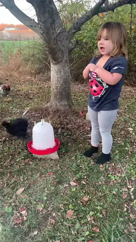 🐓 Obsessed #chickens #bethyclaire #MomsofTikTok #countryliving 