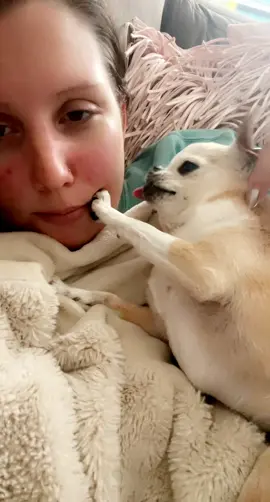Her paw at the end🫶🏼🥹