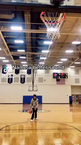 Name a better sound.. #fyp #foryou #basketball #fishing #bitealarm #swish #nayzofishing #viral #trending 