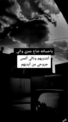 #اكسبلور #fypシ #viral #fyp # #فنيسيوس #fyp @Um Sadan @^^ @🕊آلَريـ🌙ـمـ🌙ـ🕊 @꧁حنيـﮯن آلمـآضـيـﮯ꧂ 