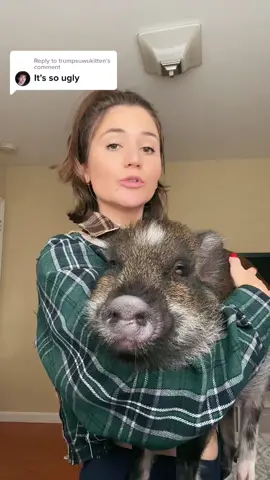 Replying to @trumpsuwukitten Merlin’s a 10/10 but ok #merlinthepig #mina #pigsoftiktok #pig #piggy #fyp #xyzbca 