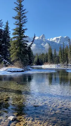 Winter is here finally❄️#canada #canadaalberta #canadalife #nature #naturevibes #naturephotography #landscape #landscapephotography #snow #snowday #winter #winterishere #wintercanada #mountains #mountainslife #enjoylife #fyp 