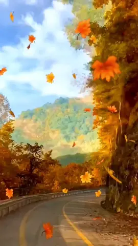 The scenery in autumn is so beautiful.#scenery #Travel #autumn #leaves 