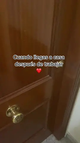 Cuando llego a casa después de trabajar #bimbateckelmini #teckel #dog #perrostiktokers #dogsoftiktok #viral #teckelpuppy 