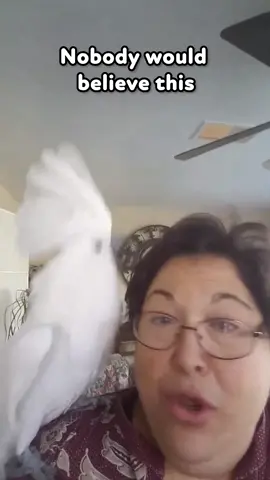 Its a dog bird 🤣 #funny @thisisjpbrown