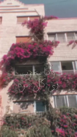 بقدرِ الكدِّ تكتسبُ المعالي #الامام_الشافعي 
