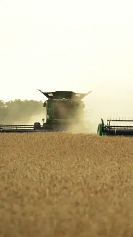 Tag a farmer🌾😤 #johndeere #harvest #combine #fyp #foryourpage #foryou #farming #farmlife
