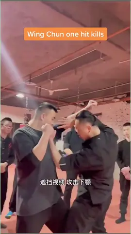 Practical tricks of Wing Chun. #wingchun #kongfu #foryou #fyp 