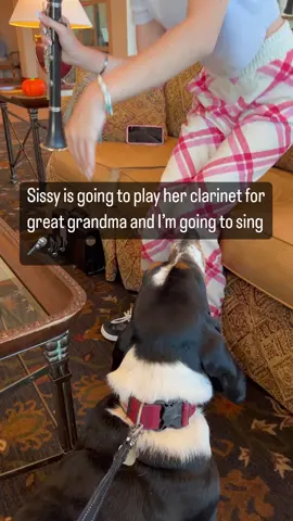 Sissy and I put on a concert for great grandma! Maybe next time sissy should sit closest to grandma so my voice isn’t so loud 😂🎤🎶 . . . #concert #clarinet #singing #beautyandthebeast #howl #howling #howlingdog #greatgrandma #beautiful #beautifulvoice #winston #bassethound #basset #bassetlove #bassethoundsofinstagram #bassetlife #bassetgram #bassetmoments #nothingbetterthanabasset #doginfluencer 