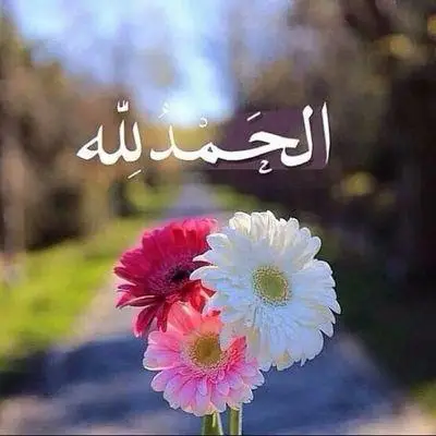 #الحمد الله ع كل حال 🌺جمعة مباركة 