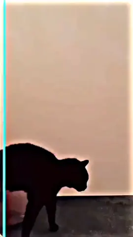 Time warp scan filter, Jurassic world😂🤣🤣, pa daanin O palakarin mo nga toh tiktok❤#foryoupage #trending #fyp #xyzbca #foryou #LearnItOnTikTok #fypシ #hinatsaneditツ #alightmotion 