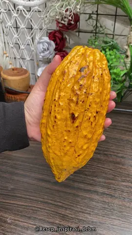 Ngolah buah coklat buat ide jualan yuk! (non debm)   #yos