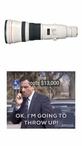 It may feel a bit excessive, but having an 800mm lens part of your kit can really be clutch. If you are NOT a sports or wildlife photographer, you might feel like having a super-telephoto lens is not something you need and you are 