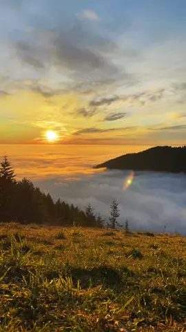 A sea of clouds dancing during golden hour, cant be beat that. #Hiking #goldenhour 