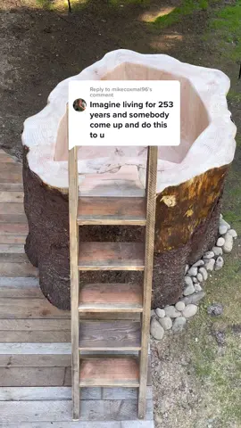 Replying to @mikecoxmal96 please listen to this public service announcement from your friendly neighborhood moss man #tree #DIY #handmade #wood #science 