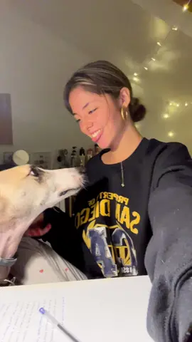 Mi perrito