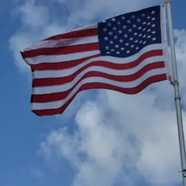 🇺🇸 The Flag of the USA 🇺🇸  #usa #us #flag #flags #flying #america #vexillology #vexillologytiktok  #flagtok 