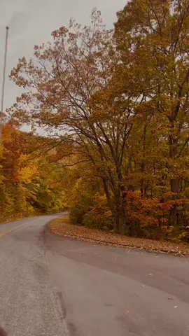 📍Blue Ridge Parkway, Virginia 