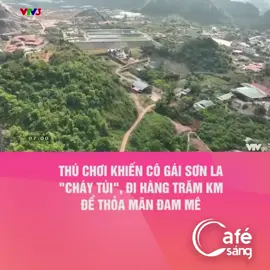 Có đam mê đặc biệt với sen đá, cô gái 21 tuổi ở Sơn La sẵn sàng chi tiền triệu, đi hàng trăm km để mang cây quý về nhà. #tiktoknews #onhaxemtin #tintucmocchaunews #tintucmocchau #ksstudio 