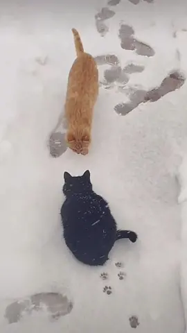 🥰