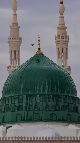 #اشھد_اللہ_الہ_الااللہ #محمد_رسول_الله #foryou #foryoupage #tabbasam321 