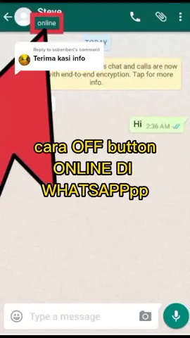 Replying to @soberiberi cara off button online di whatsappppp.. #tips #trick #phone #thekingoftips #tiktokguru #whatsapp #online 