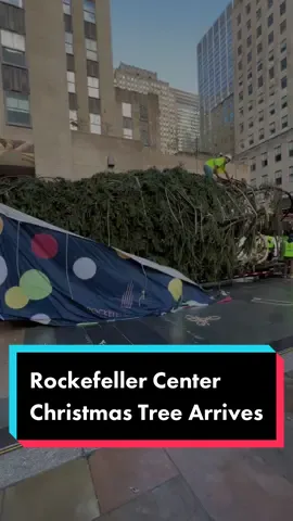 It’s a sign of that the holidays are here…Rockefeller Center Christmas Tree arrives. #nycchristmas #christmasinnewyork #rockefellercenter #rockefellerchristmastree #nyc #nyctravel #christmas 