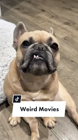 Kevin’s can be trouble sometimes… #corn #pizzadelivery #badmovies #badparenting #frenchiesoftiktok #dogdad #dogparent #teef #movies #dogsoftiktok #jasonbankscomedy cred @jasonbankscomedy @somefrenchienamedapollo @somefrenchienamedapollo 