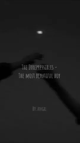The irrepressibles - The most beautiful boy   #foryou #lyrics #mood #fypシ #fyp #musica #parati #traduccion #letrasdecanciones #youngroyals #themostbeautifulboy  #theirrepressibles 