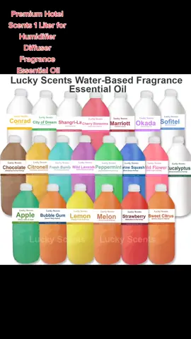Premium Hotel Scents 1 Liter for Humidifier Diffuser Fragrance Essential Oil#frypgシ #budolfinds #shopeefinds #budolitems #affordableitems #foryourpage 
