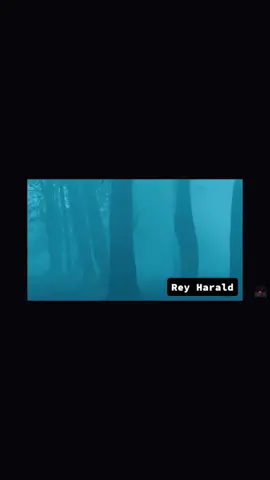 En cuánto llega la muerte del Rey Harald, su hermano llega por él para partir juntos al Valhalla, cantando llegarán las valquirias. #reyharald #vikingsnetflix #seriesnetflix #ragnarlothbrok #valhallacalling #valquirias #harald #vikingos #vikings #series #seriestiktok #lamejorseriedelmundo #vikingoslamejorserie #valhalla 