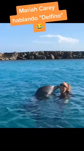 el delfín 🐬