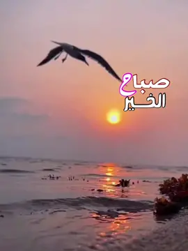 #ترند_تيك_توك #s23b3 #اكسبلور #صباح_الخير #تصاميم_فيديوهات 