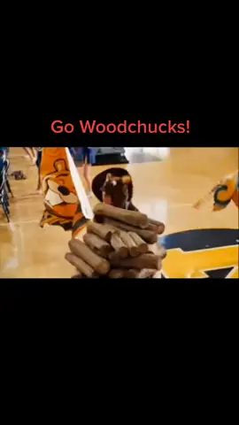 #fyp #gowoodchucks #easya 