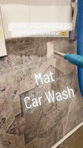 Kitchen mat car wash! @loloirugs is this wrong? Because it feels right 🤣 #CleanTok #cleaningtiktok #cleanbeforeandafter #cleansatisfaction #loloirugs #loloi #rugcleaning #matcleaning 