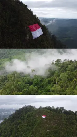 Kegiatan pengibaran bendera Merah Putih 2022 di bukit Sampi desa Muara samu, kab Paser, prov Kalimantan timur. Kegiatan ini diselenggaran oleh beberapa KPA di Kalimantan Timur  #lrmp #paser #dayak #hutankalimantan #pengibaran #pulauborneo #bukitsampi 