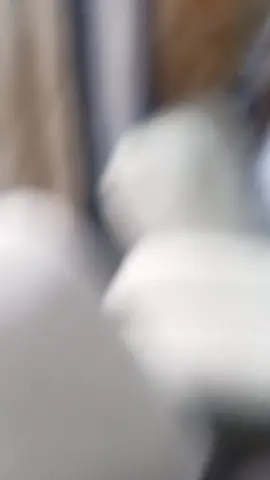#gatodanado 