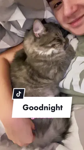 How I get my cat to sleep at night😹 #catsoftiktok #fyp #foryou
