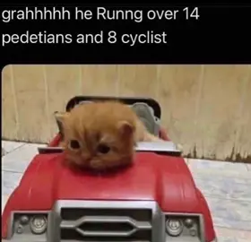 dear federal agents... #fyp #fypシ #foryoupage #catsoftiktok #cat #cats #animals #animalsoftiktok #memestiktok #meme #memes #funny #cursedimages #cursedtiktoks #trending #viral #candycrush10 