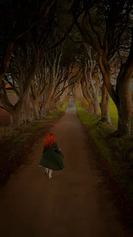 A trip to autumn court 🍂🍁🧡 This is what autumn court looks like in my head, what do you think ACOTAR fans? These are the famous Dark Hedges of Northern Ireland which you might recognise as they featured as the “King’s Road” in Game of Thrones. So how did the Dark Hedges row come about? Around 1775, James Stuart built a house, named Gracehill House after his wife Grace Lynd. Over 150 beech trees were planted along the entrance road to the estate, to create an imposing approach. It’s certainly magical still to this day, so James definitely knew what he was doing. PS. You are not allowed to drive on the road! If you are visiting there is a car park at one end of the road and it’s a super easy walk down. 📍The Dark Hedges, Northern Ireland #northernireland #northernirelandtiktok #northernirish #northernirelandfyp #thedarkhedges #gameofthrones #irishtiktok #traveltiktok #traveltok #travelbucketlist #uktravelblogger #travelblogger #acotar #acourtofthornsandroses #autumncourt #autumnvibes #autumnal #darkcottagecore #cottagecore  