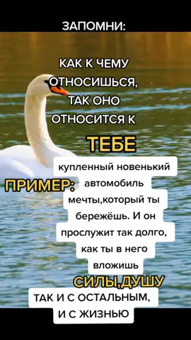 #мотивация #душа #дух#силаслова #истина #сила #rek #2023 #жизнь@Саёра Ни @ОЛЬГА ВЕЛЖИЧ