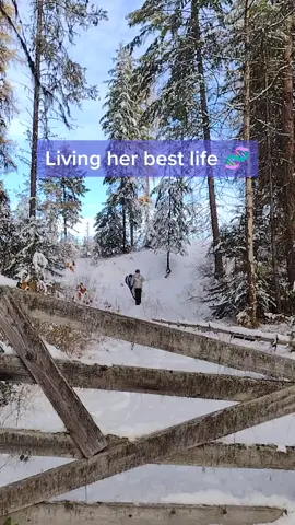 #washington #offgrid #thatoffgridlady #offgridlady #mountaingirl #mountainlife #snow #sledding #tree 