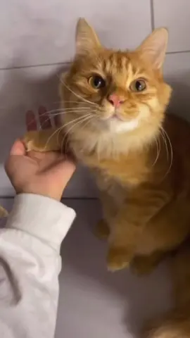 🥰