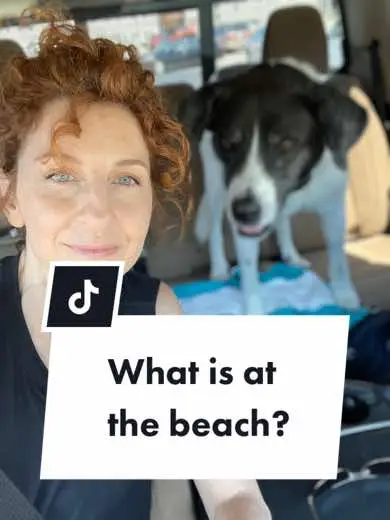 Our day at the beach #animalcommunication #doglove #bestfriend #couplegoals 